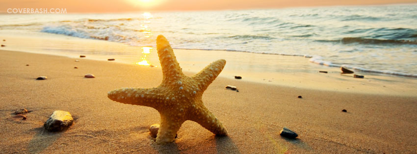 the starfish facebook cover