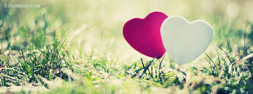white_and_pink_heart.jpg