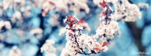 white flowers in blue sky facebook cover