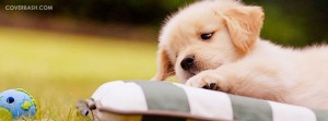 cute puppy facebook cover
