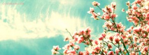 sky flowers facebook cover
