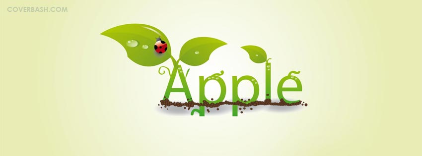 apple leaf ladybug facebook cover