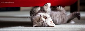 cat under couch facebook cover