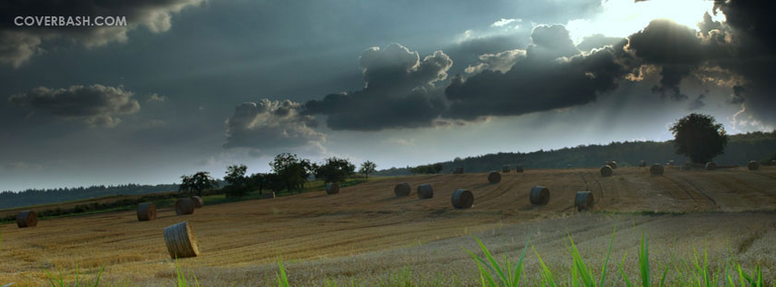 fine afternoon facebook cover