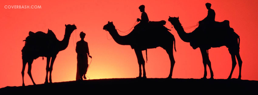 evening in desert facebook cover