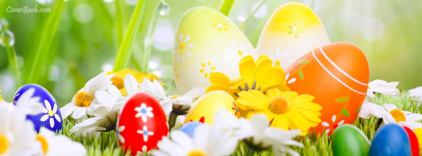 fresh easter eggs :) facebook cover