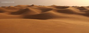 the desert facebook cover