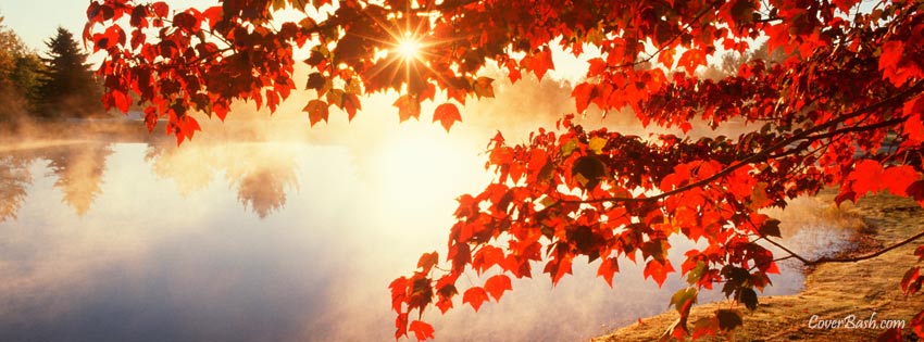 red autumn leaves facebook cover