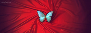 silky butterfly facebook cover