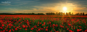 sunset at poppy valley facebook cover