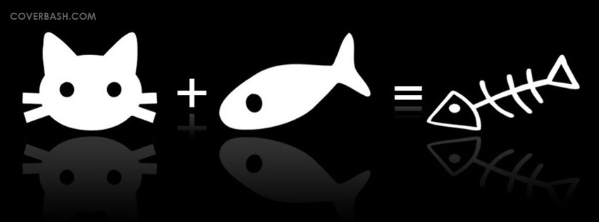 funny summation facebook cover